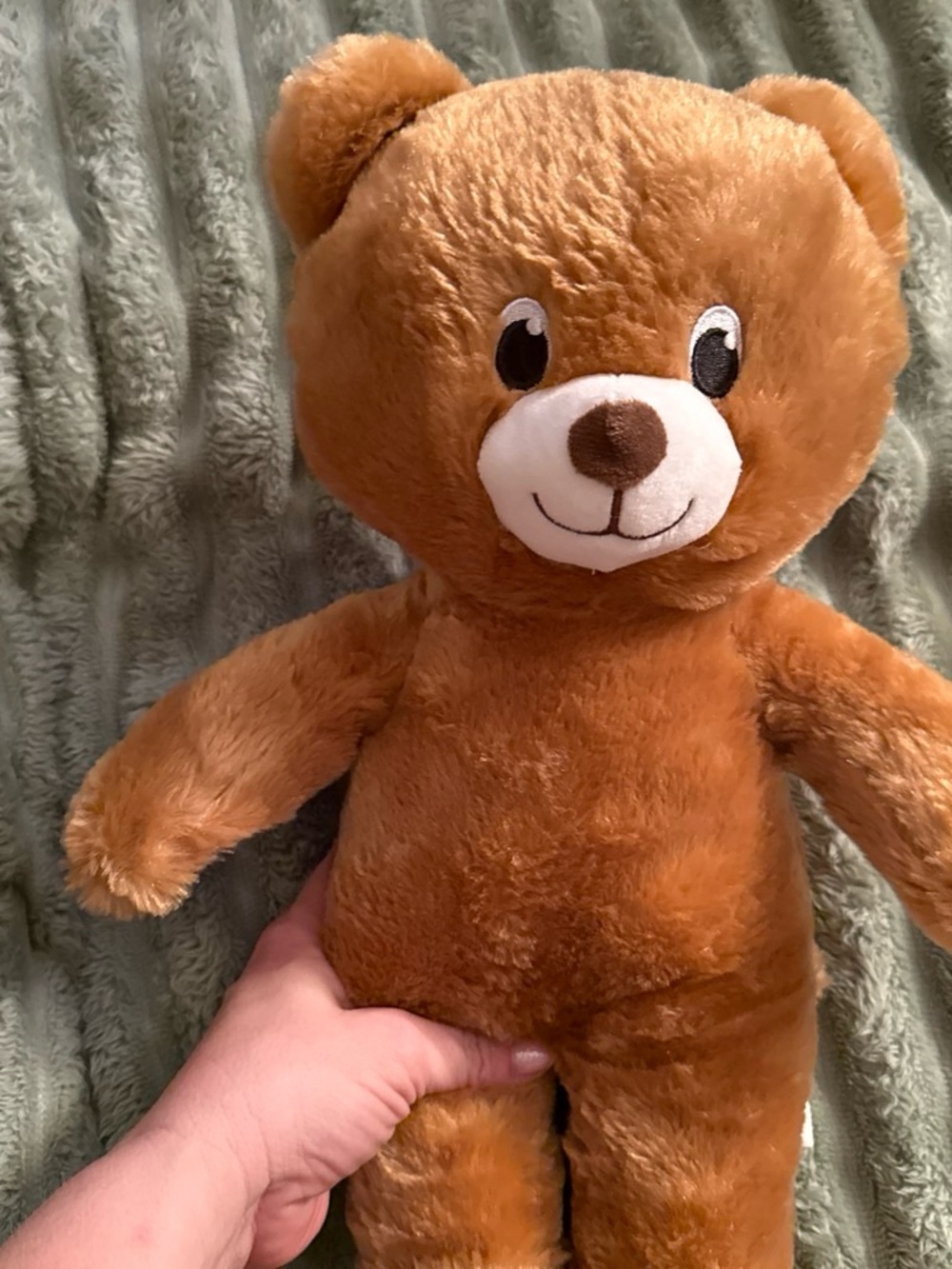 Build-A-Bear Brown Plush Teddy with Embroidered Face